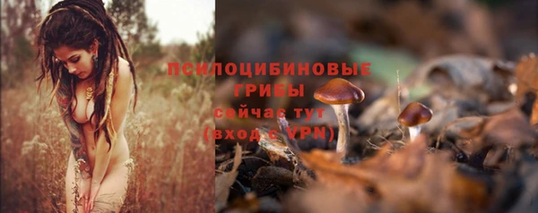 кокаин перу Богородицк