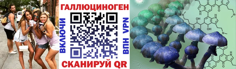 kraken маркетплейс  Калуга  Галлюциногенные грибы прущие грибы 